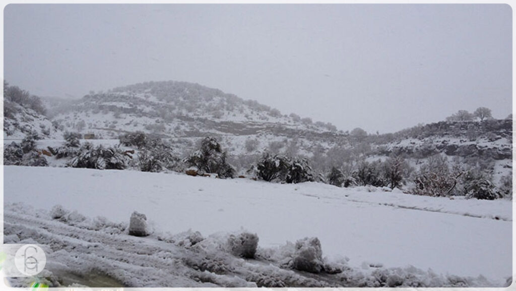 زمستان دشت ارژن