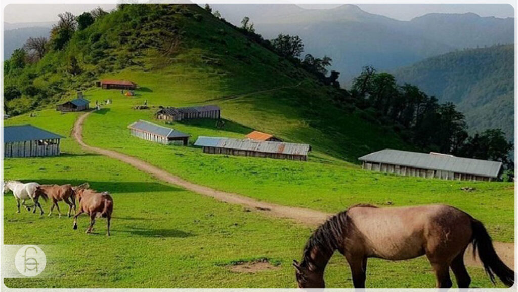 زیبایی های روستای سوئه چاله