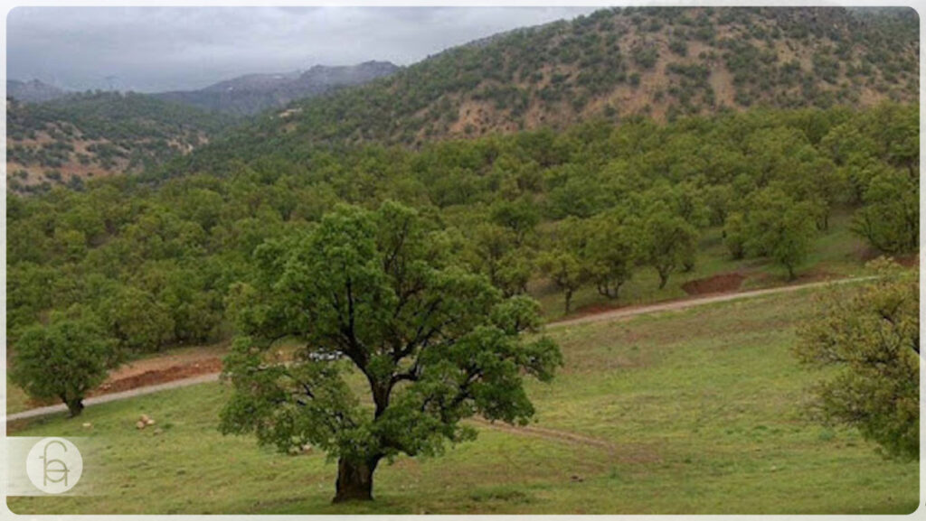 پوشش گیاهی استان خوزستان