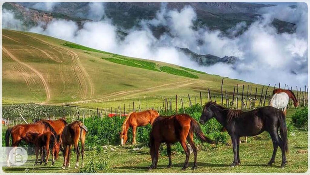 ییلاق سوباتان