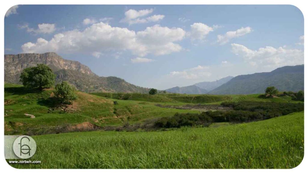 روستای چلو